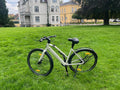🚲 Deruiz Turmali S 2024 – Beige | 449 km | Rahmengröße 48,5 cm